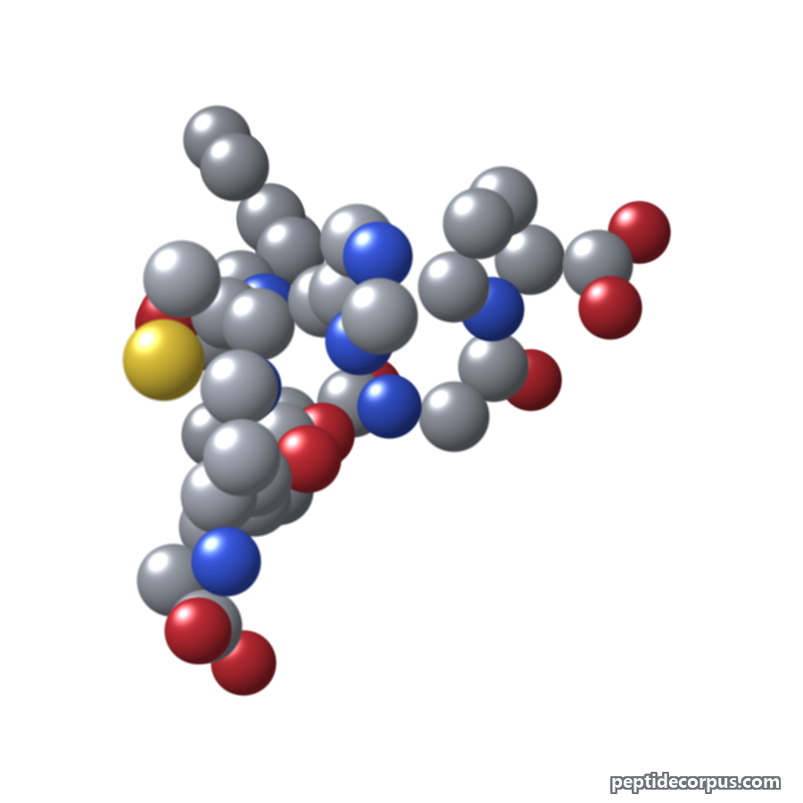 Space-filling 3D model of Semax, carbon grey, nitrogen blue, oxygen red