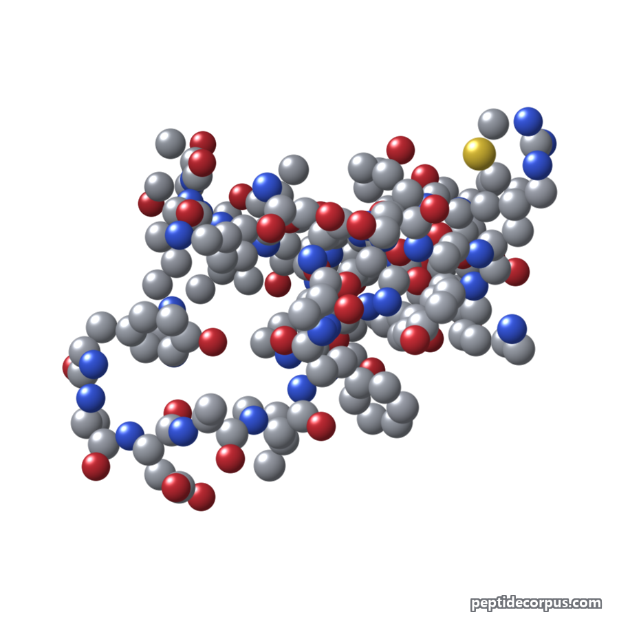 Space-filling 3D model of Sermorelin, carbon grey, nitrogen blue, oxygen red