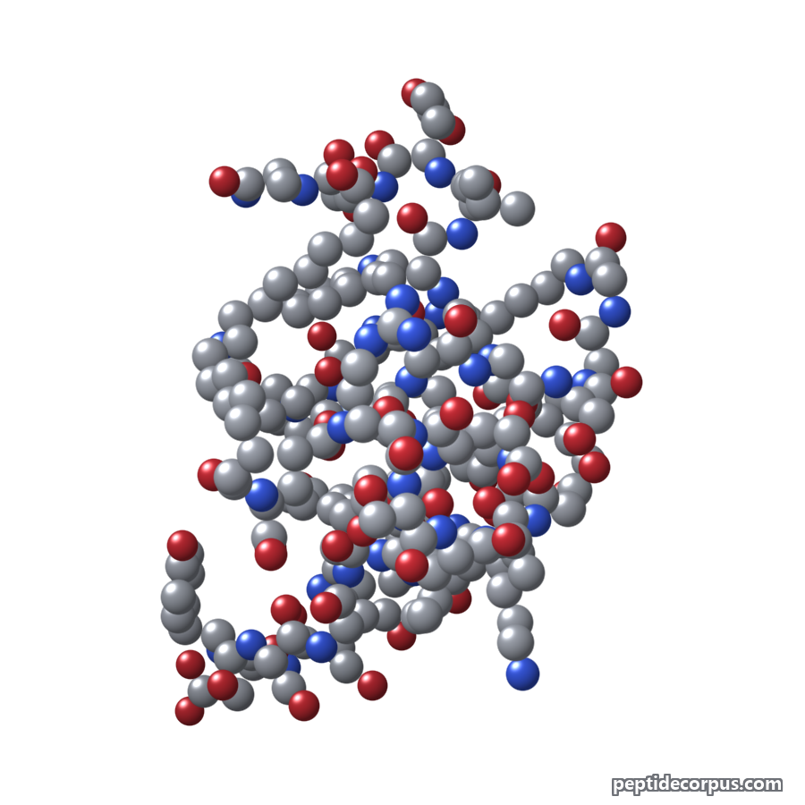 Space-filling 3D model of Survodutide, carbon grey, nitrogen blue, oxygen red