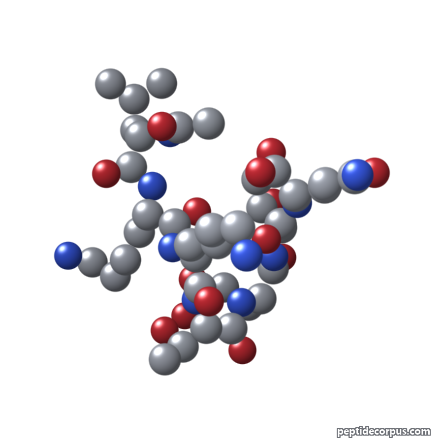 Space-filling 3D model of TB-500, carbon grey, nitrogen blue, oxygen red