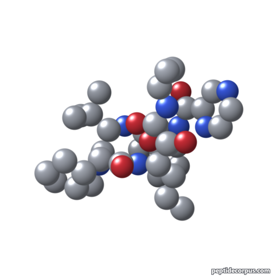 Space-filling 3D model of Telaprevir, carbon grey, nitrogen blue, oxygen red