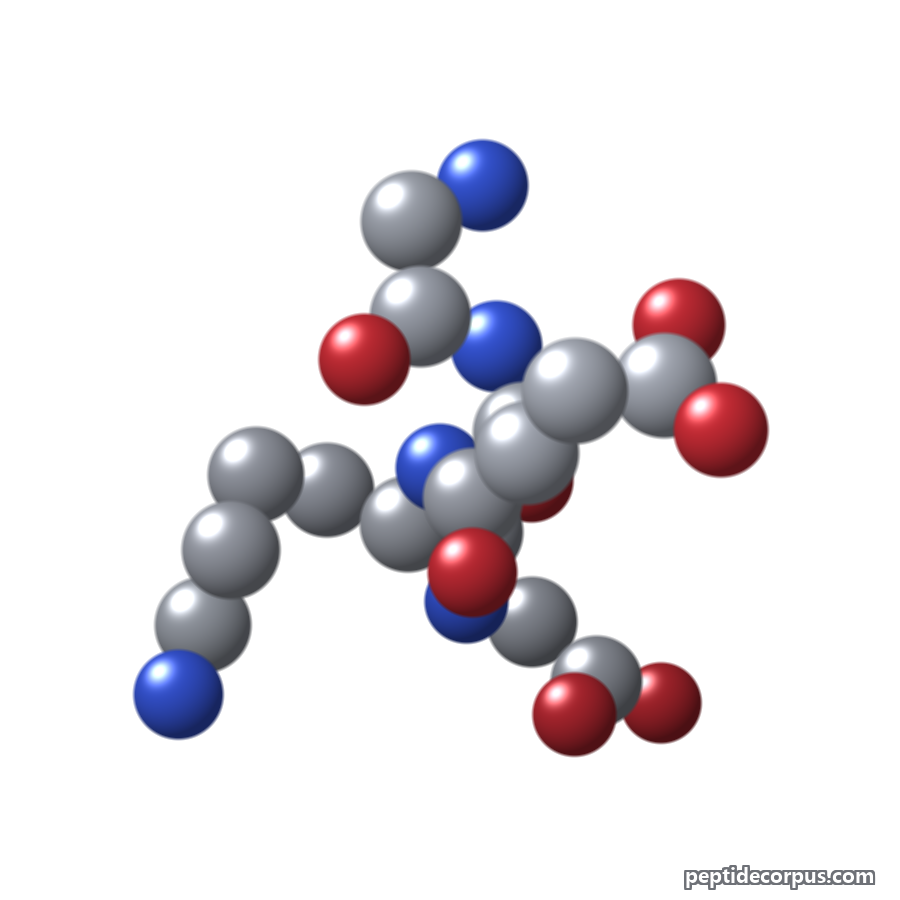 Space-filling 3D model of Tetrapeptide-21, carbon grey, nitrogen blue, oxygen red