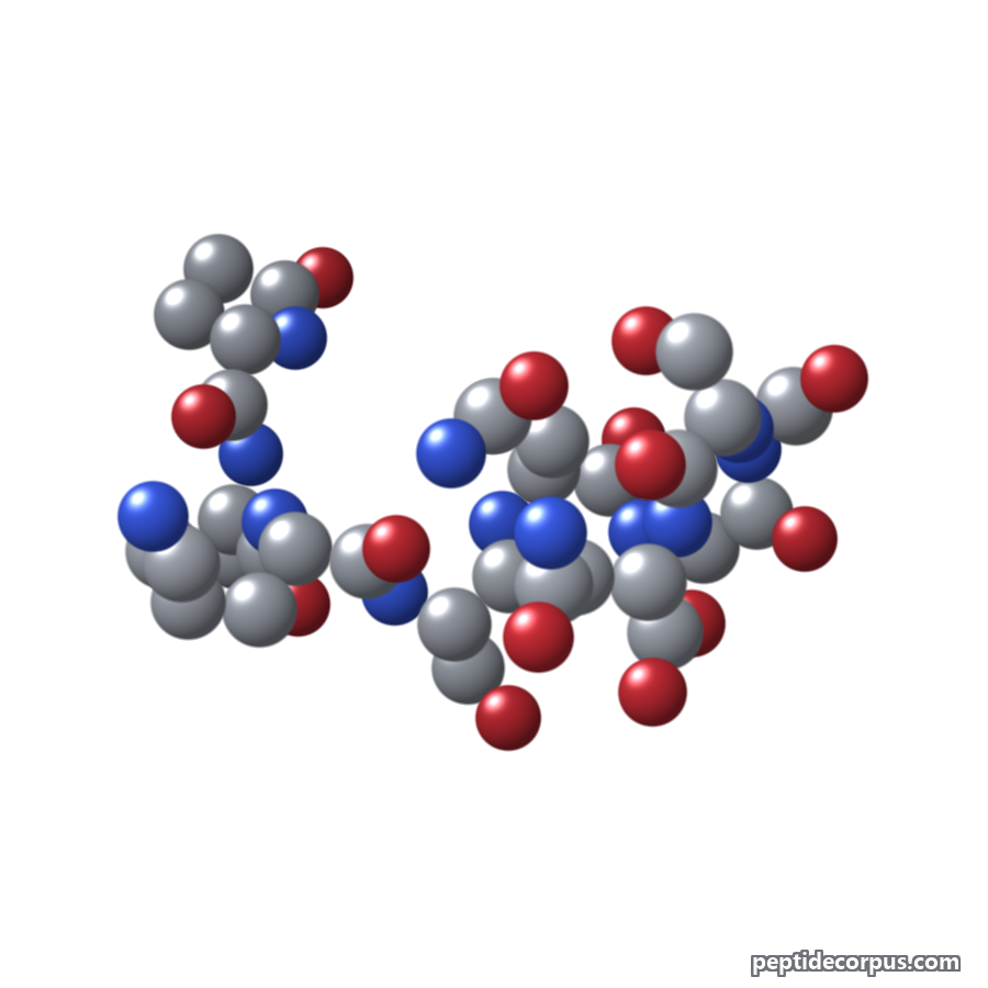 Space-filling 3D model of Thymulin, carbon grey, nitrogen blue, oxygen red