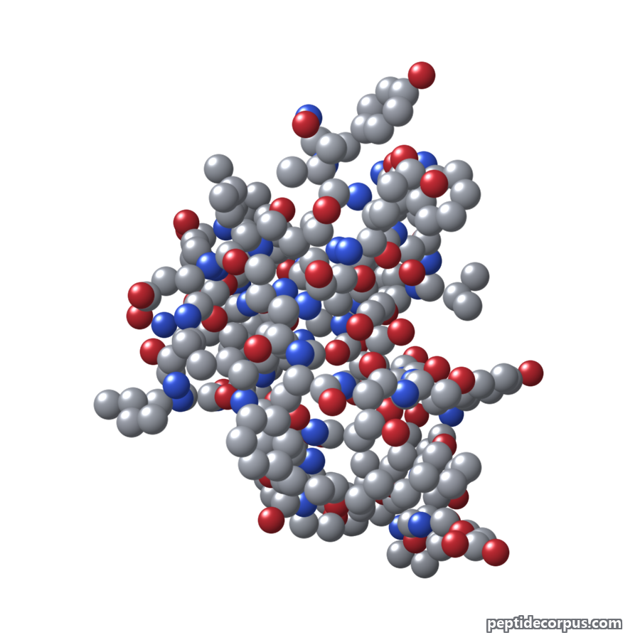 Space-filling 3D model of Tirzepatide, carbon grey, nitrogen blue, oxygen red
