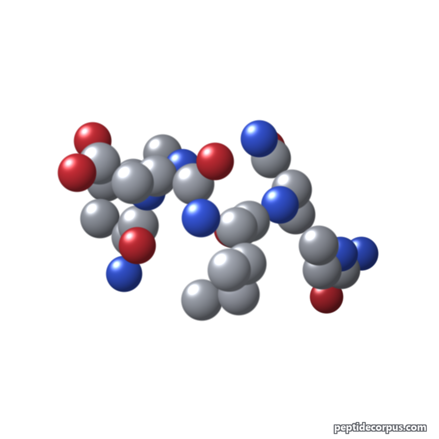 Space-filling 3D model of Tripeptide-10 Citrulline, carbon grey, nitrogen blue, oxygen red
