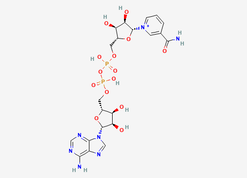 2D chemical structure of NAD+ Boosting / Precursor Peptides