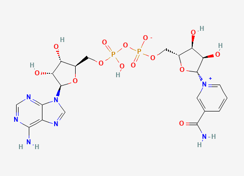 2D chemical structure of NAD+